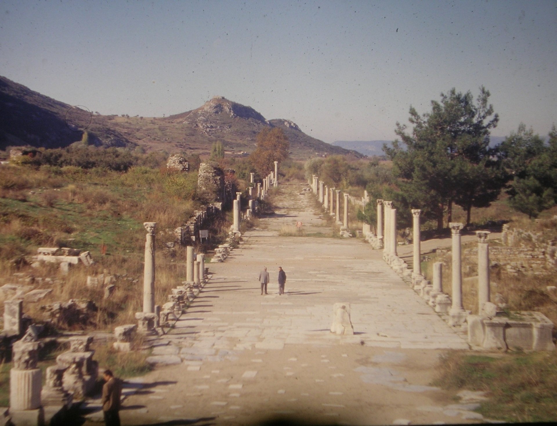 Liman Caddesi